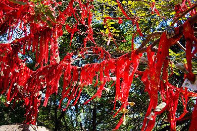 《罪恶装备 奋战》Steam价格永降 国区下调至218元