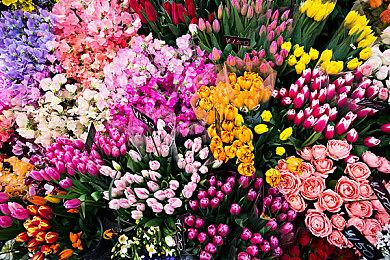 《鬼灭之刃：火神血风谭2》新角色预告：缘一零式